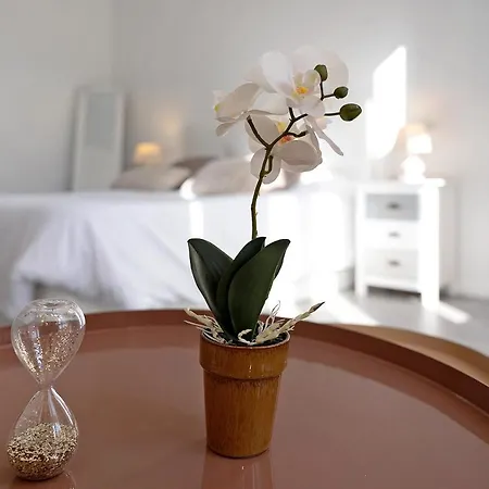 Apartman Casa Manuela Las Palmas de Gran Canaria